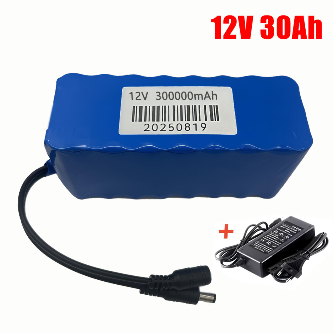 2025 New 12V 30Ah  Lithium Bat - огляд і ціна Fish Finder Charger